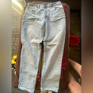Gloria Vanderbilt Amanda Light Blue Jeans